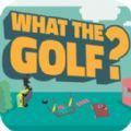 高尔夫球模拟器_高尔夫球模拟器v1.15下载
